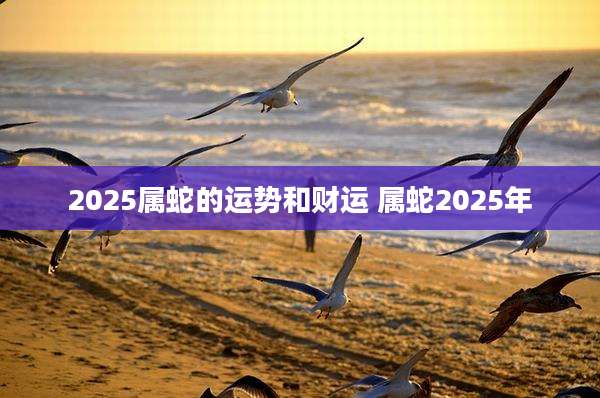 2025属蛇的运势和财运 属蛇2025年