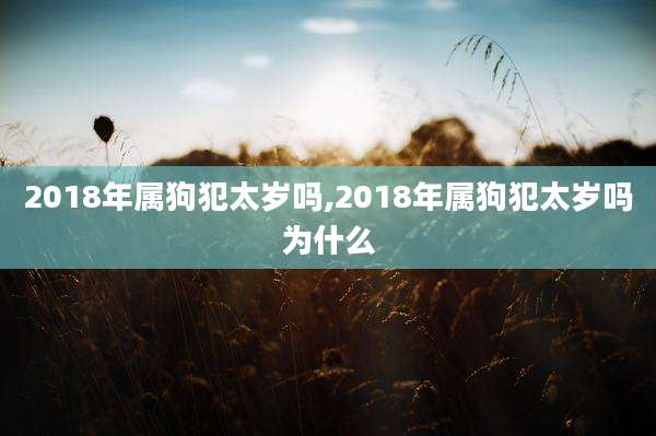 2018年属狗犯太岁吗,2018年属狗犯太岁吗为什么