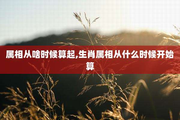 属相从啥时候算起,生肖属相从什么时候开始算