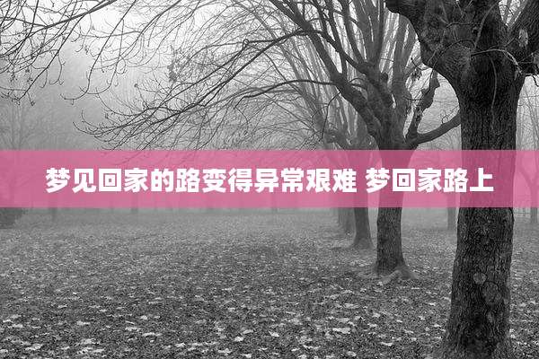 梦见回家的路变得异常艰难 梦回家路上