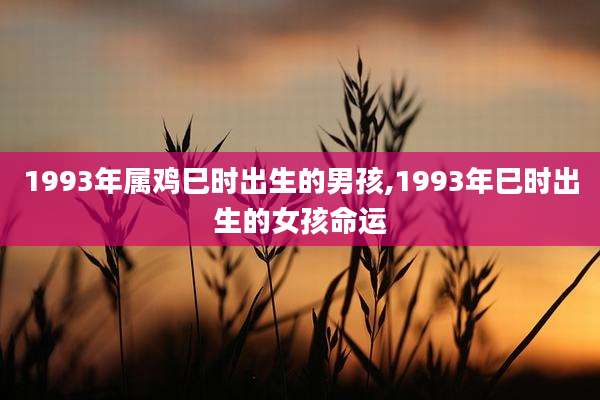 1993年属鸡巳时出生的男孩,1993年巳时出生的女孩命运