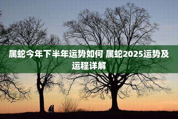 属蛇今年下半年运势如何 属蛇2025运势及运程详解
