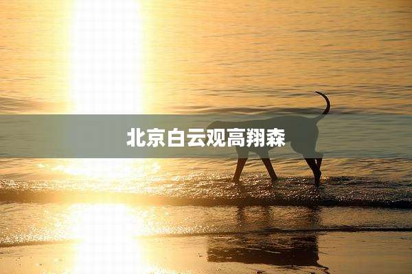 北京白云观高翔森