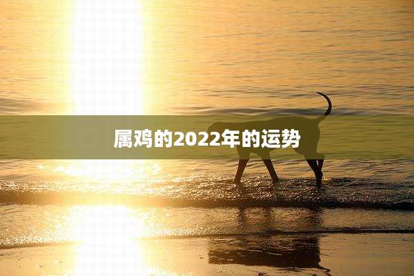 属鸡的2022年的运势