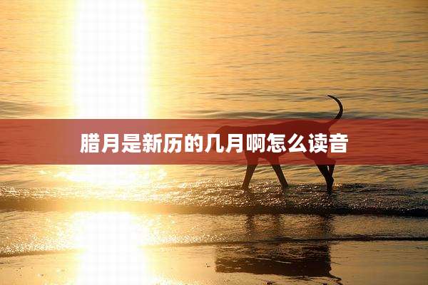 腊月是新历的几月啊怎么读音