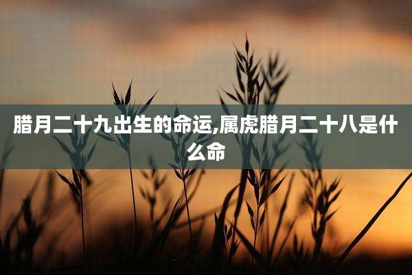 腊月二十九出生的命运,属虎腊月二十八是什么命