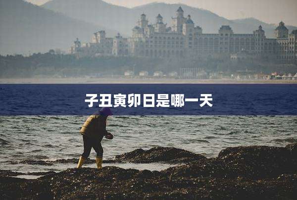 子丑寅卯日是哪一天