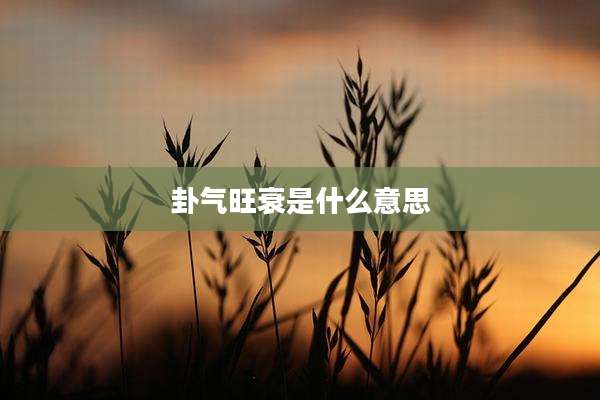 卦气旺衰是什么意思