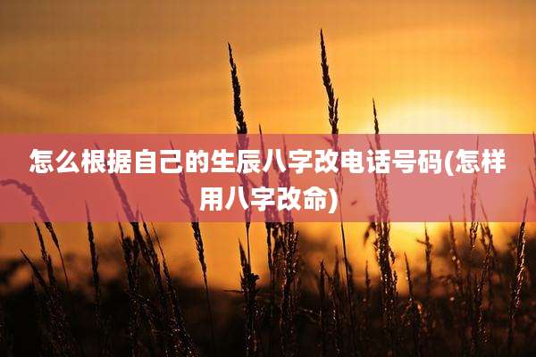 怎么根据自己的生辰八字改电话号码(怎样用八字改命)
