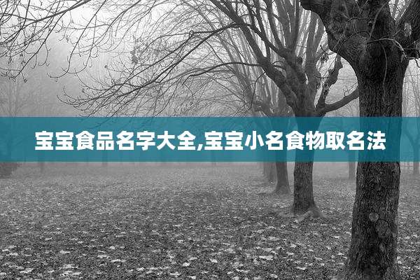 宝宝食品名字大全,宝宝小名食物取名法