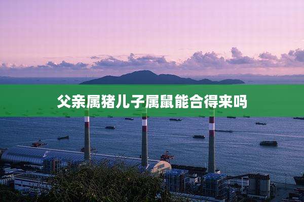 父亲属猪儿子属鼠能合得来吗
