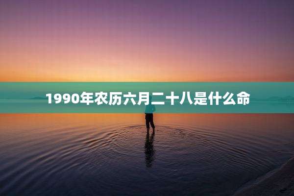 1990年农历六月二十八是什么命