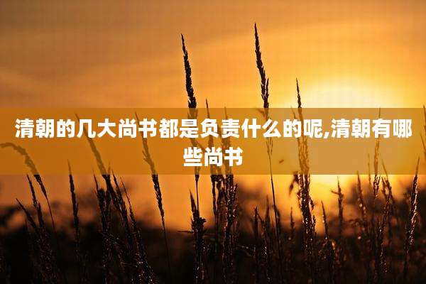 清朝的几大尚书都是负责什么的呢,清朝有哪些尚书