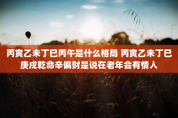 丙寅乙未丁巳丙午是什么格局 丙寅乙未丁巳庚戌乾命辛偏财是说在老年会有情人