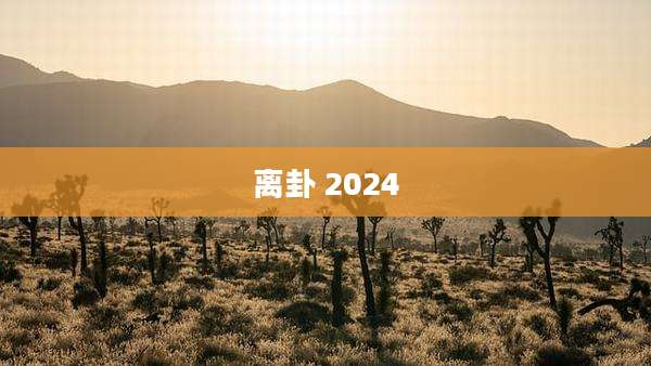 离卦 2024