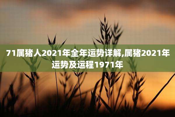 71属猪人2021年全年运势详解,属猪2021年运势及运程1971年
