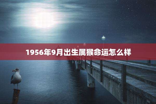 1956年9月出生属猴命运怎么样