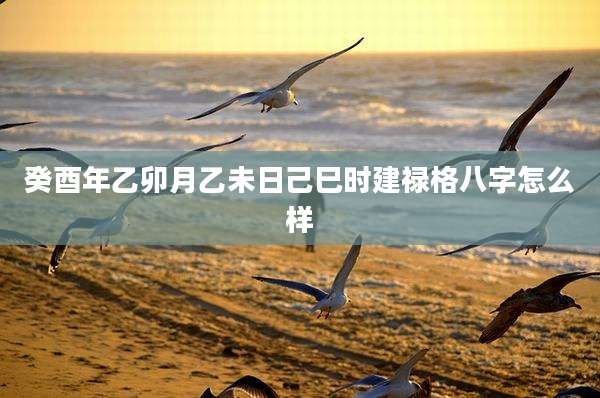 癸酉年乙卯月乙未日己巳时建禄格八字怎么样