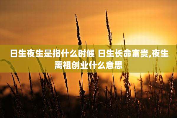 日生夜生是指什么时候 日生长命富贵,夜生离祖创业什么意思