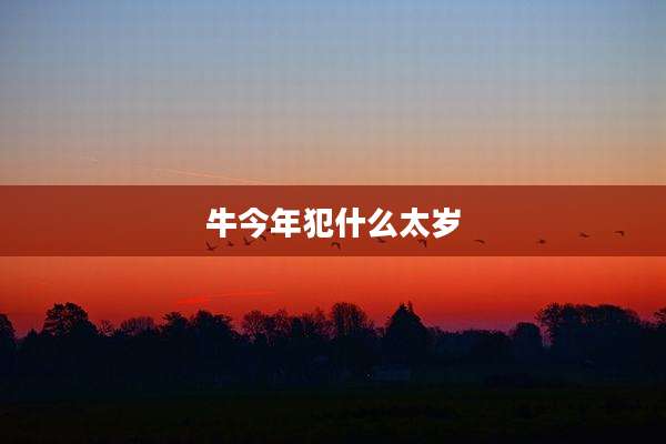 牛今年犯什么太岁
