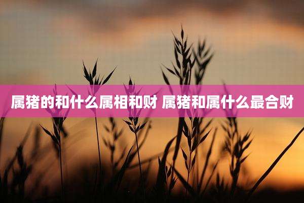 属猪的和什么属相和财 属猪和属什么最合财