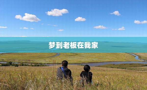 梦到老板在我家