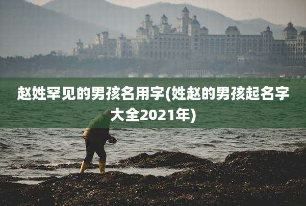 赵姓罕见的男孩名用字(姓赵的男孩起名字大全2021年)