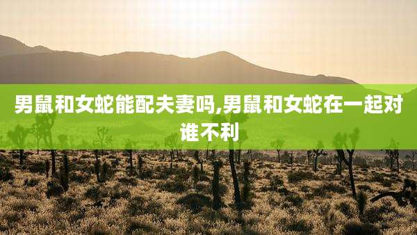 男鼠和女蛇能配夫妻吗,男鼠和女蛇在一起对谁不利