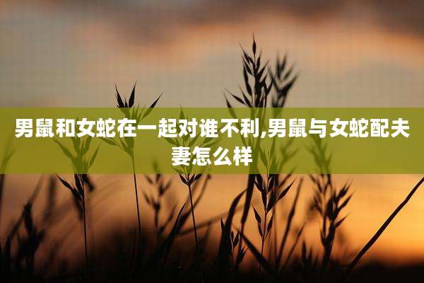 男鼠和女蛇在一起对谁不利,男鼠与女蛇配夫妻怎么样