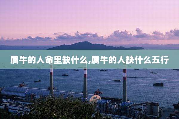 属牛的人命里缺什么,属牛的人缺什么五行
