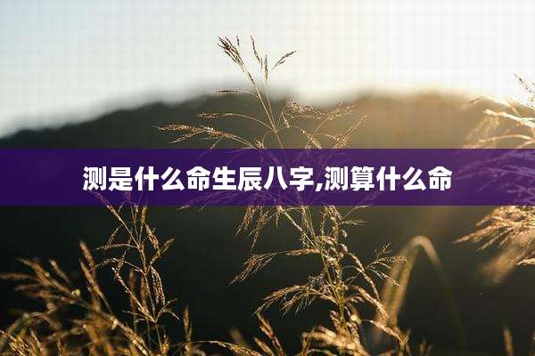 测是什么命生辰八字,测算什么命