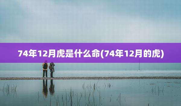 74年12月虎是什么命(74年12月的虎)