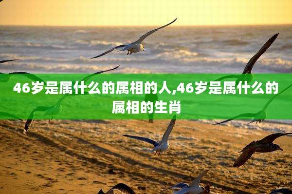 46岁是属什么的属相的人,46岁是属什么的属相的生肖