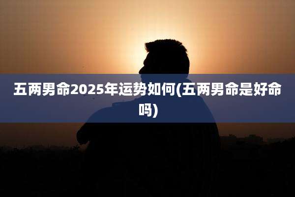 五两男命2025年运势如何(五两男命是好命吗)