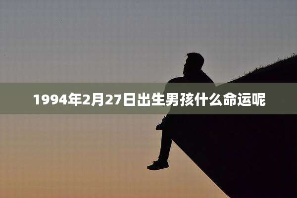 1994年2月27日出生男孩什么命运呢