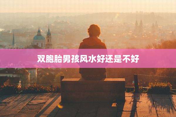 双胞胎男孩风水好还是不好