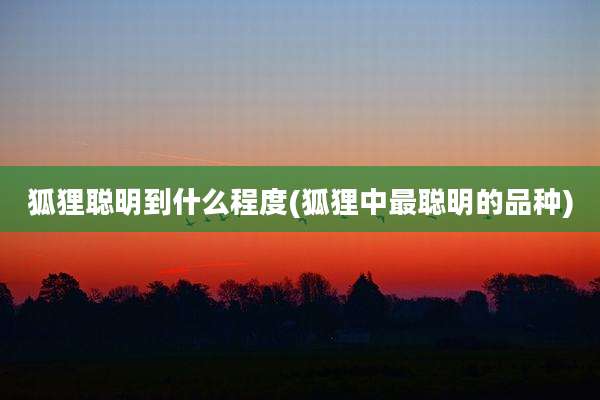 狐狸聪明到什么程度(狐狸中最聪明的品种)
