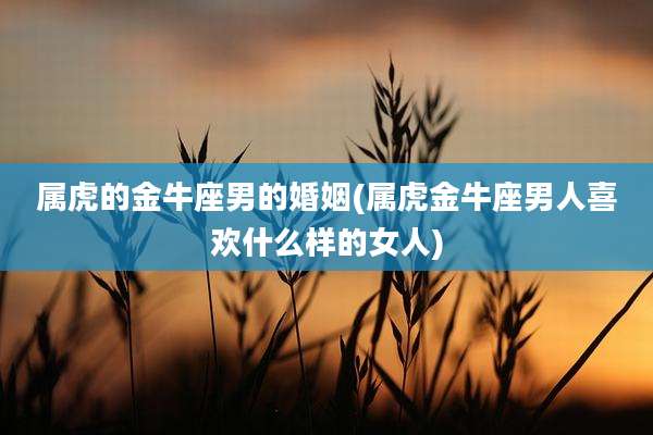 属虎的金牛座男的婚姻(属虎金牛座男人喜欢什么样的女人)