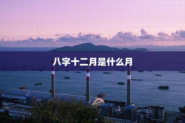 八字十二月是什么月