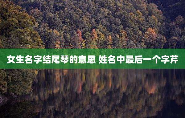 女生名字结尾琴的意思 姓名中最后一个字芹