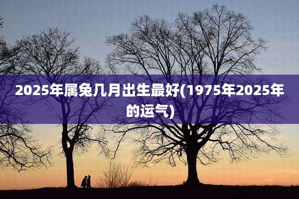 2025年属兔几月出生最好(1975年2025年的运气)