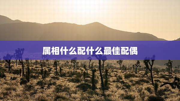 属相什么配什么最佳配偶