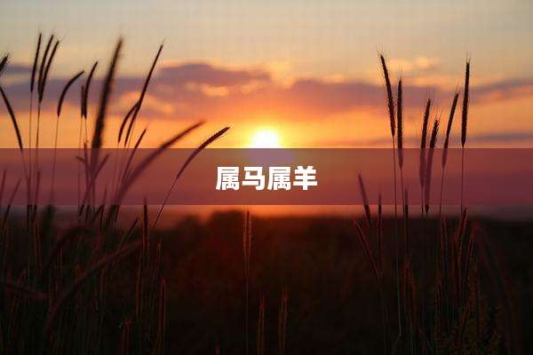 属马属羊