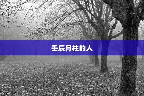 壬辰月柱的人