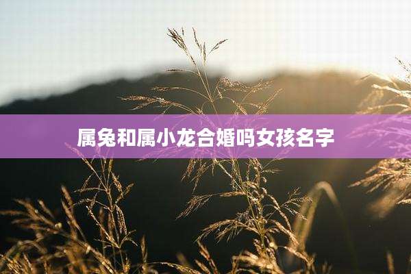 属兔和属小龙合婚吗女孩名字