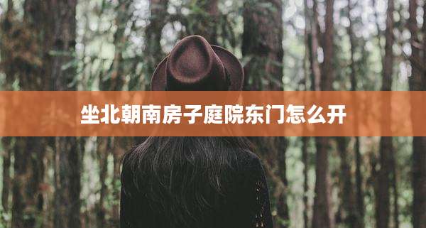 坐北朝南房子庭院东门怎么开