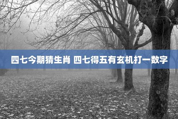 四七今期猜生肖 四七得五有玄机打一数字