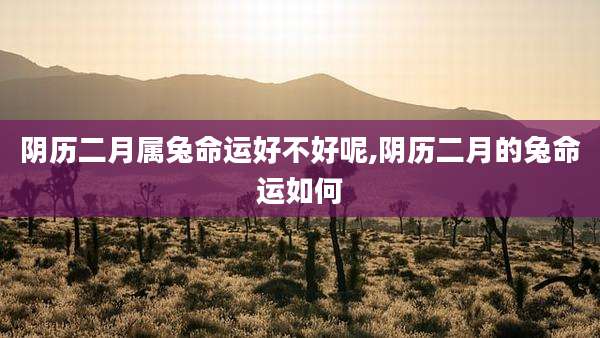 阴历二月属兔命运好不好呢,阴历二月的兔命运如何