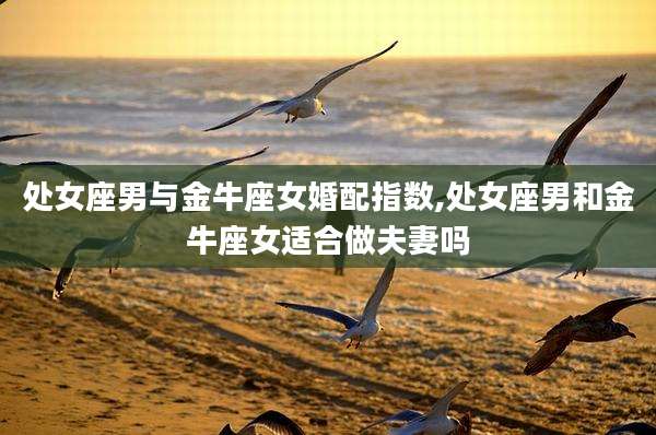处女座男与金牛座女婚配指数,处女座男和金牛座女适合做夫妻吗