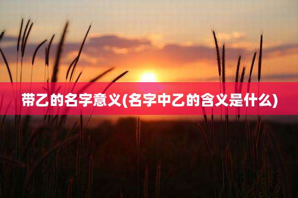 带乙的名字意义(名字中乙的含义是什么)